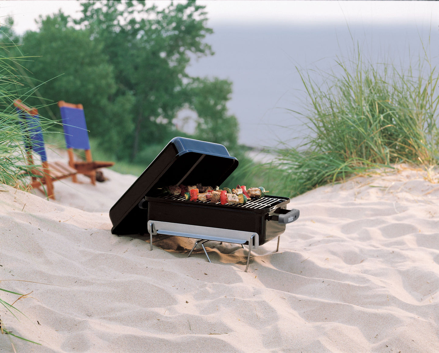 Weber Go-Anywhere Charcoal BBQ