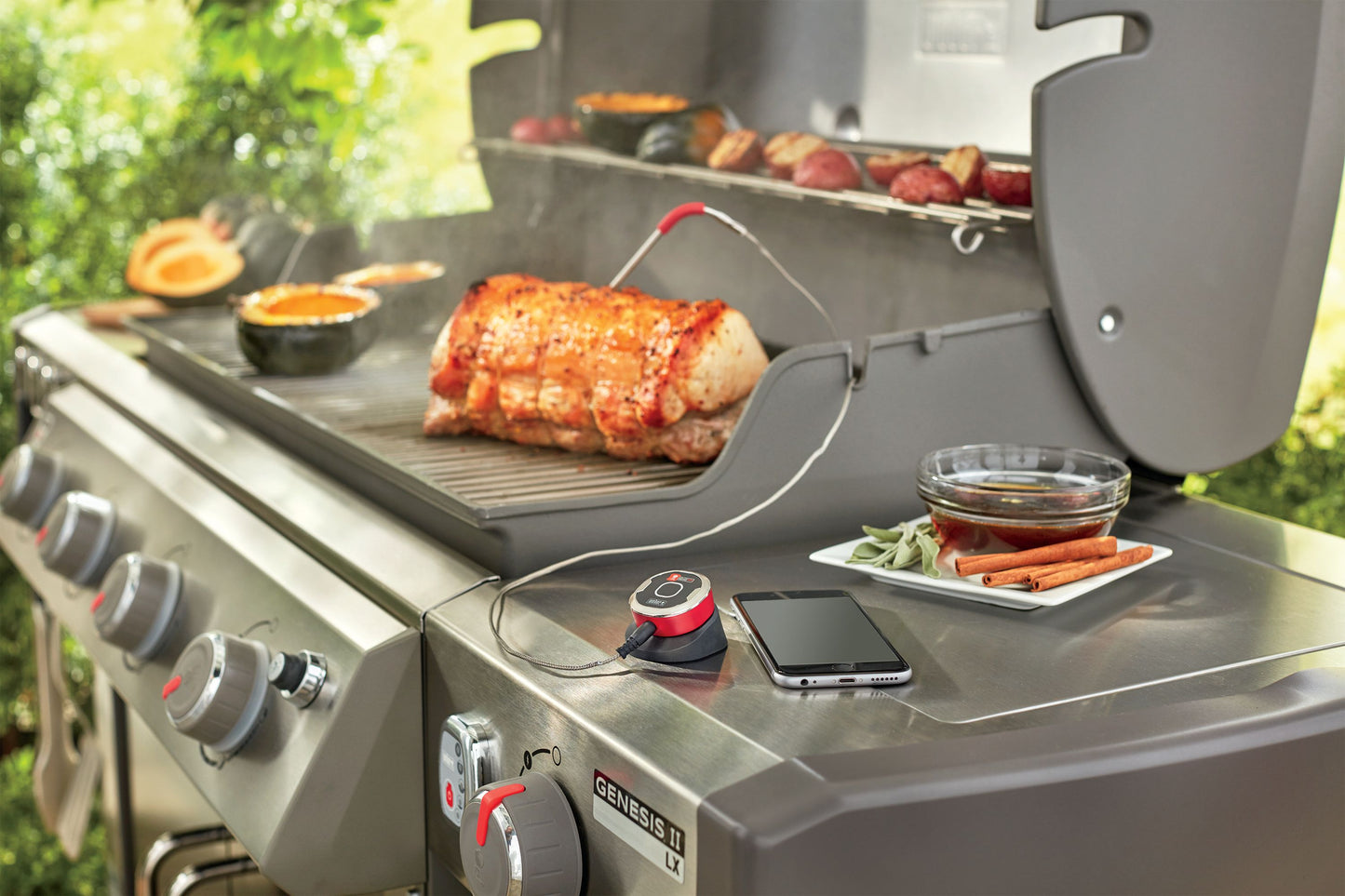 Weber iGrill Mini